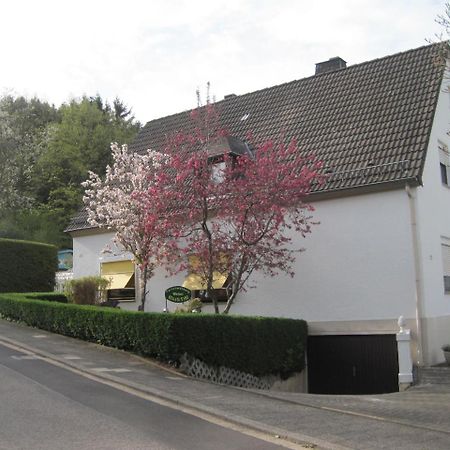 Ferienwohnung Weber Schleiden Exteriör bild